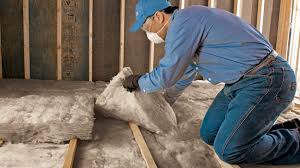 Best Insulation for New Construction  in Peralta, NM